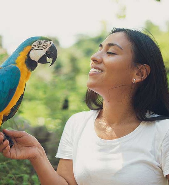 Eco Lifestyle And Wild Life